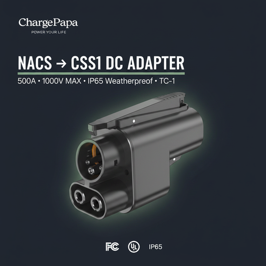 NACS to CCS1 Dark Poster